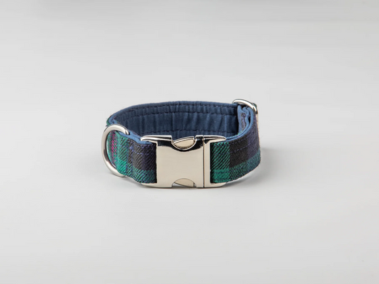 Baird Modern Dog Collar for Giant Breeds