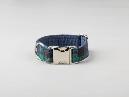 Harris Tweed dog Collar baird modern tartan