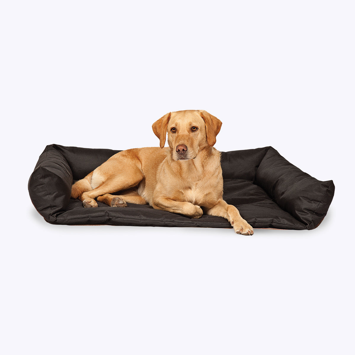 2 in 1 Boot Bed