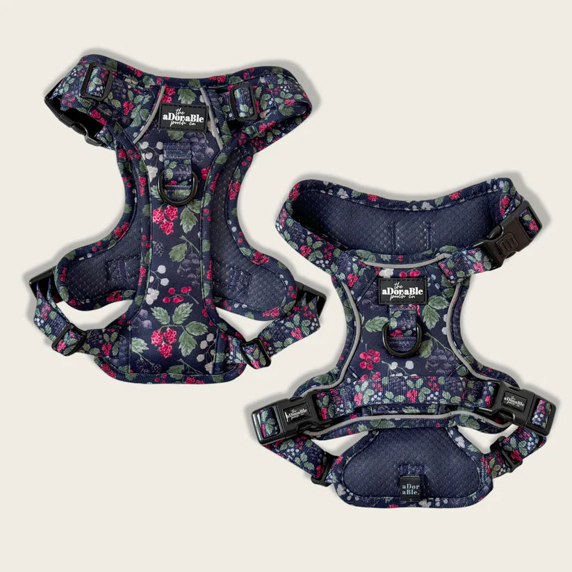 aDoraBle Pooch hike and go lite bramble berry dog harness