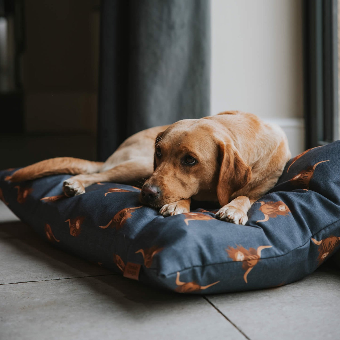 Highland Cow Dog Bed Luxury Deep Duvet Dog Bed