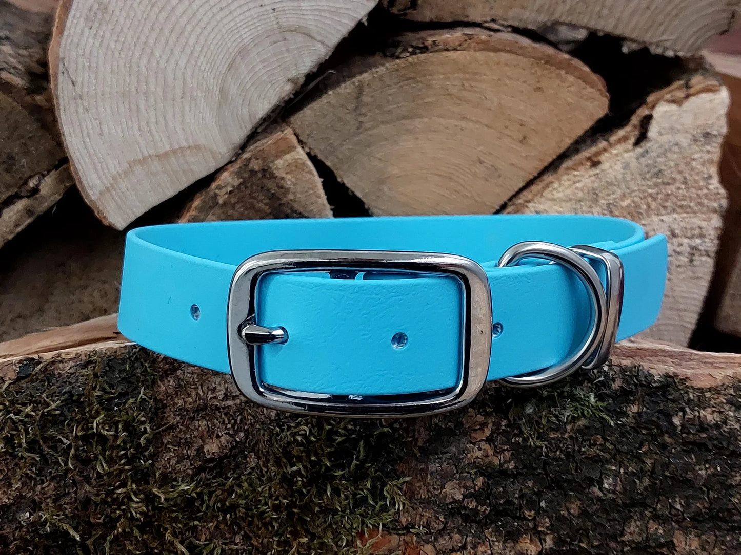 Waterproof Baby Blue Dog Collar