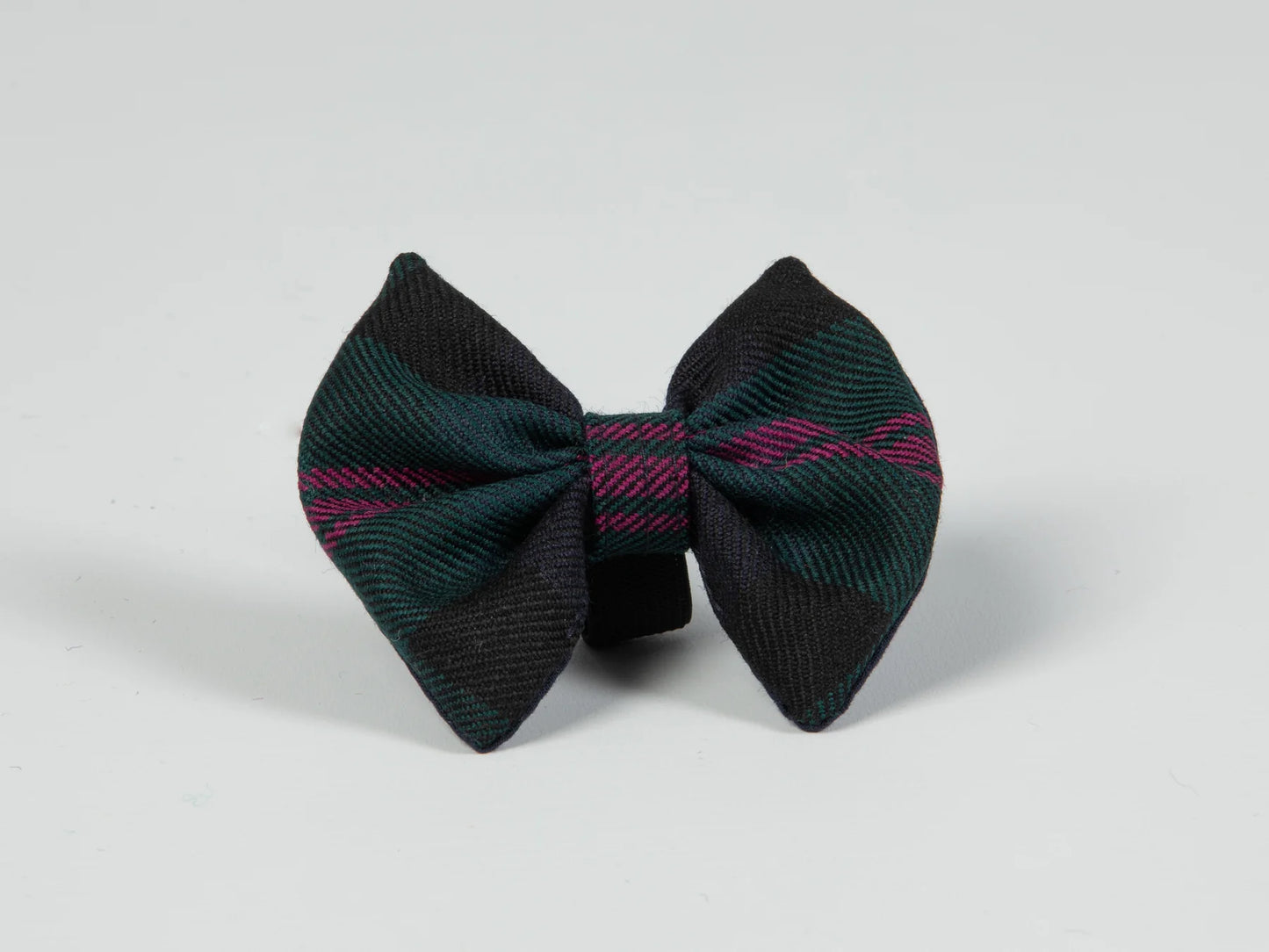 Harris tweed Dog Bow Tie Baird Modern