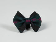 Harris Tweed dog bow tie baird modern tartan