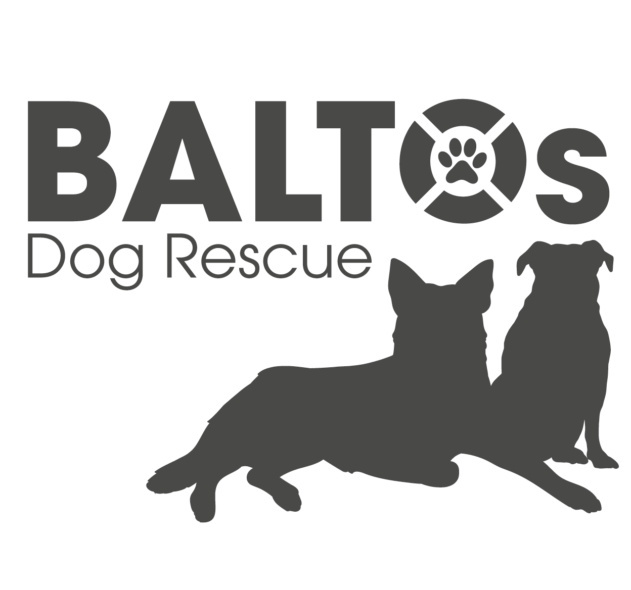 Help a Rescue Dog Today 🐾