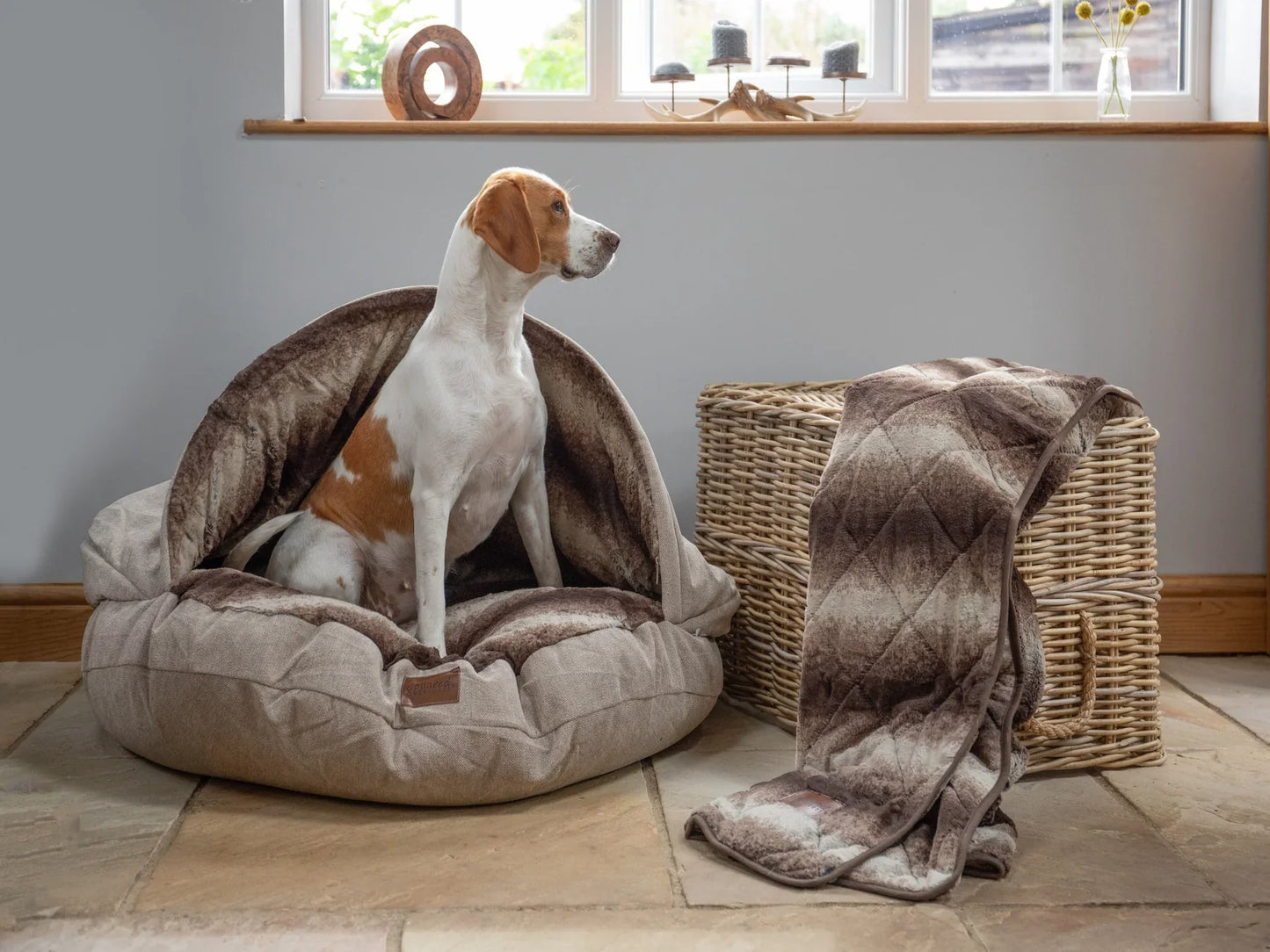 Dog Cave Bed Removable Hood Maisey Daisey Ltd