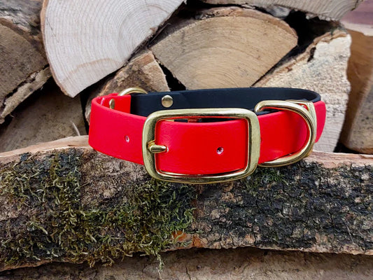 waterproof Dog Collar UK made Multi Coloured  Red & Black