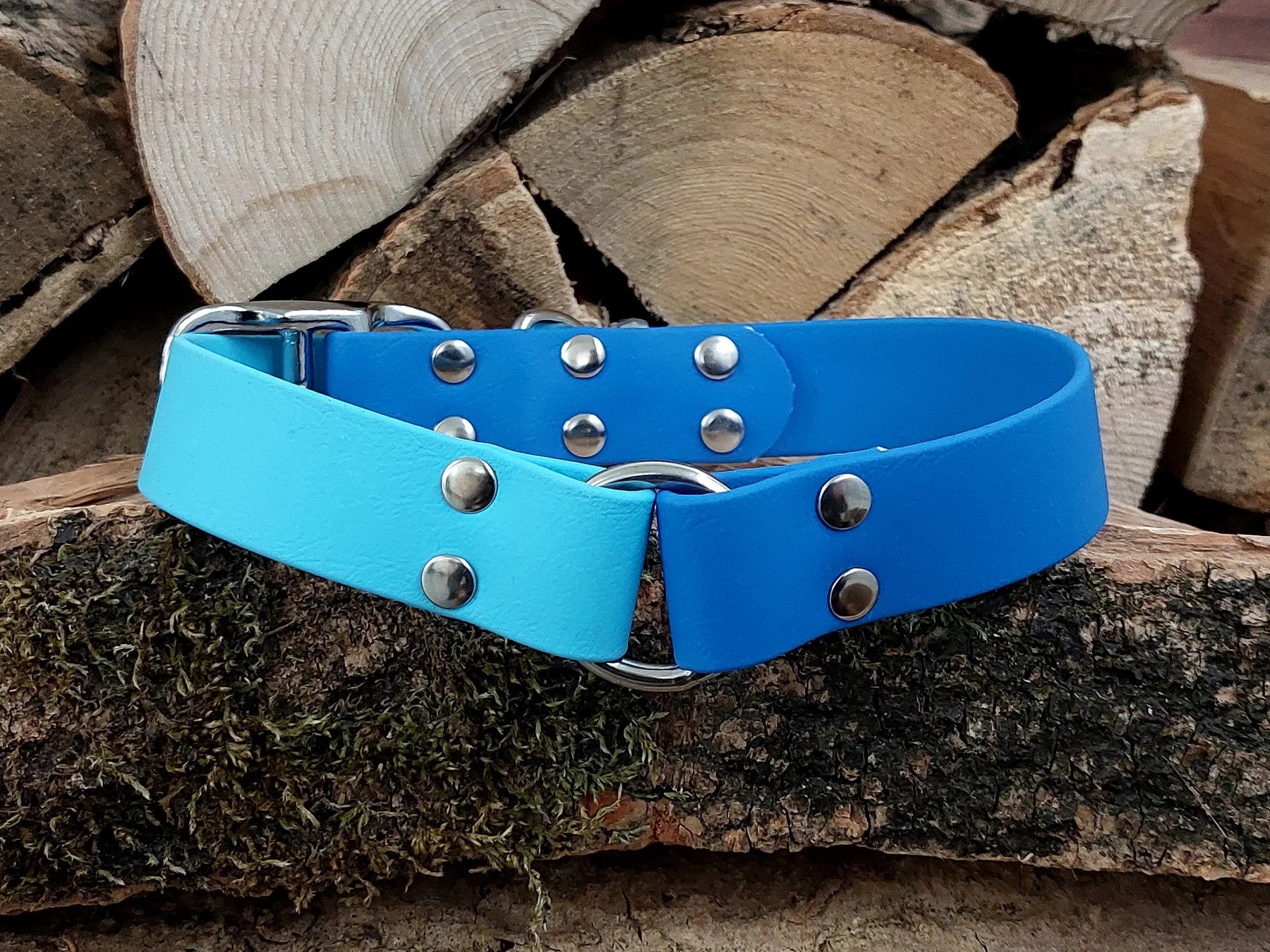 Sky Blue Dog Collar Waterproof