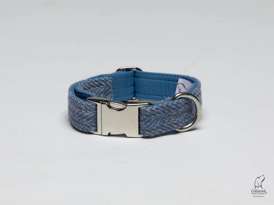 Harris Tweed Dog Collar Blue Herringbone