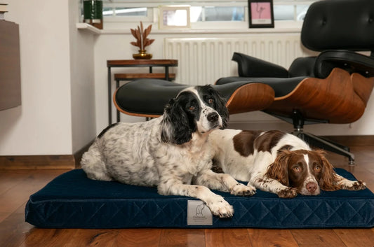 Collared Creatures Ultimate Luxury Dog Mattress Sapphire Blue