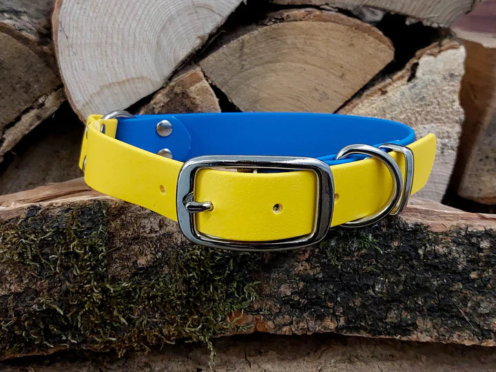 Multi Coloured Waterproof Collar