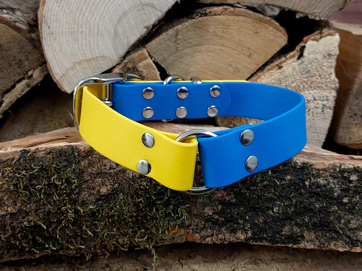 Multi Coloured Waterproof Collar blue & yellow