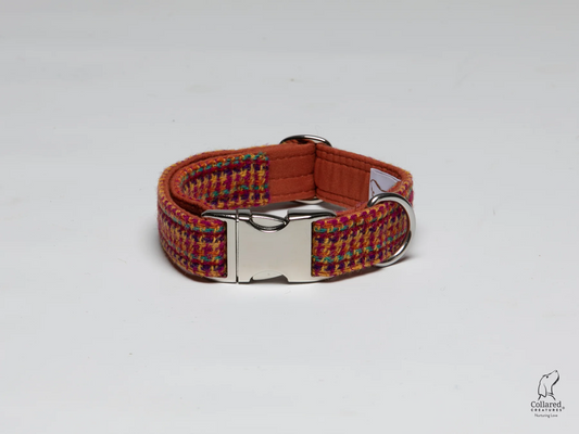 Bright and Bold Big Dog Collar Harris Tweed