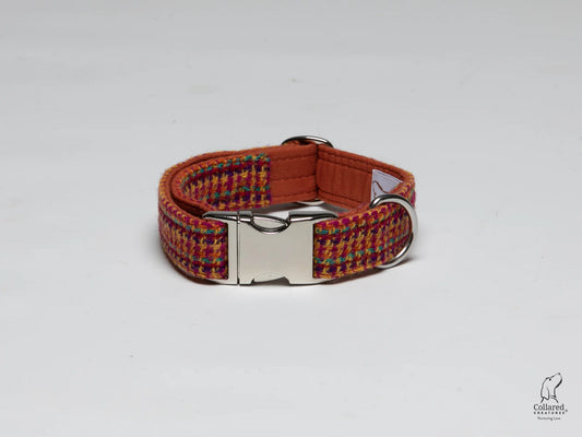 Harris Tweed dog Collar bright & bold check