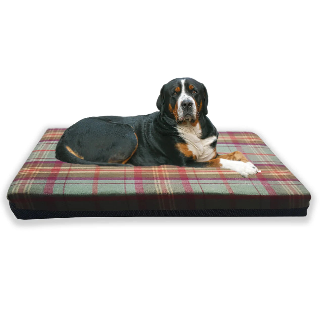 XXL Tartan Dog Mattress Bed Brittany