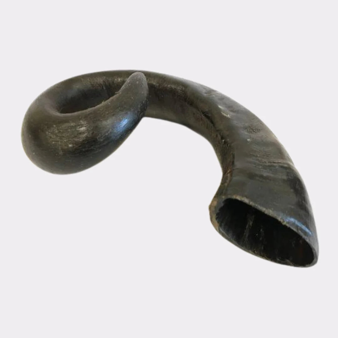 Buffalo Horn Extra Large