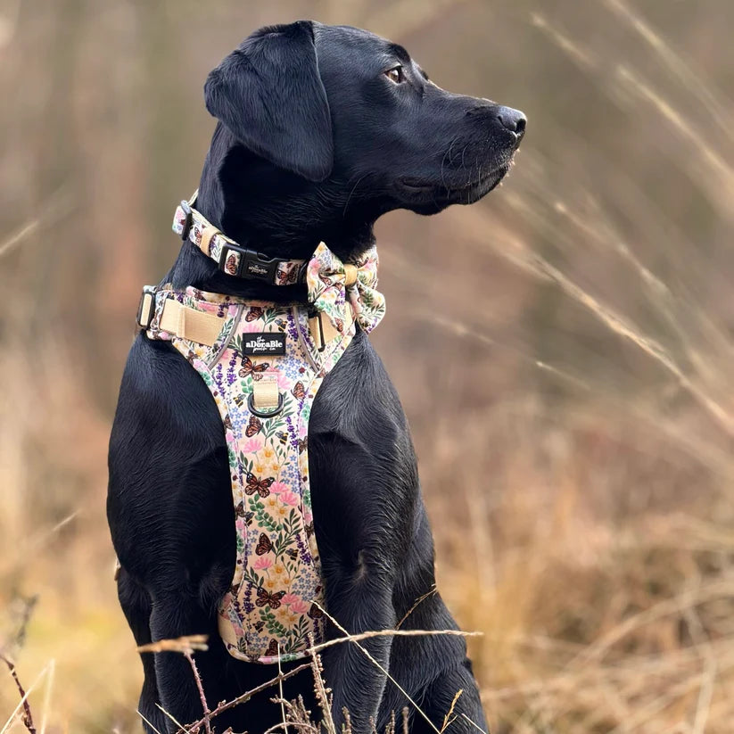 Bumbles & Butterflies Dog Harness – Matching Collar and Bow by Adorable pooch