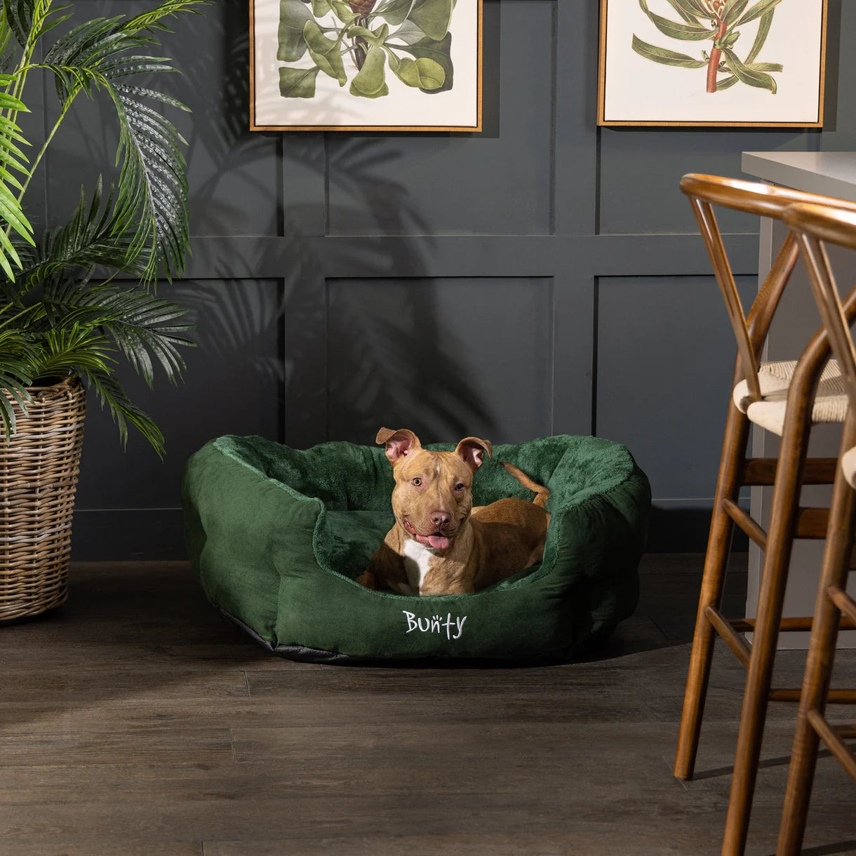 Polar Dog Bed - Dark Green