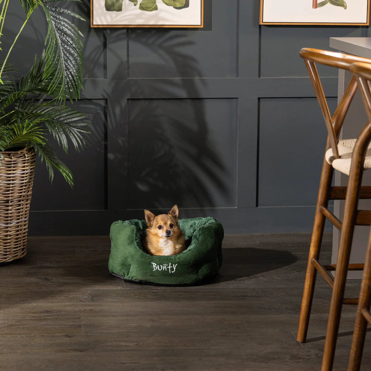 Polar Thermal Insulated Dark Green Dog Bed 