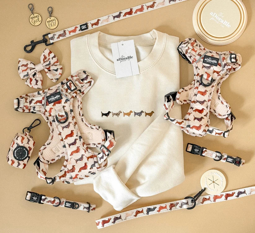 Adorable Pooch coordinated pet apparel set arranged on a beige background, including a cream sweatshirt, matching harnesses, leashes, a bow, and a collar. The harnesses and leashes have a cream base with a repeating dog print in rust red, black, and tan.