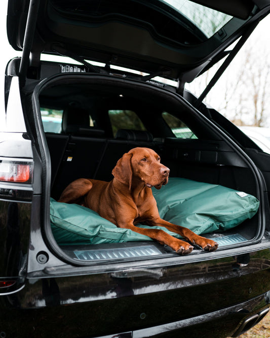 Cooling boot dog bed duvet waterproof