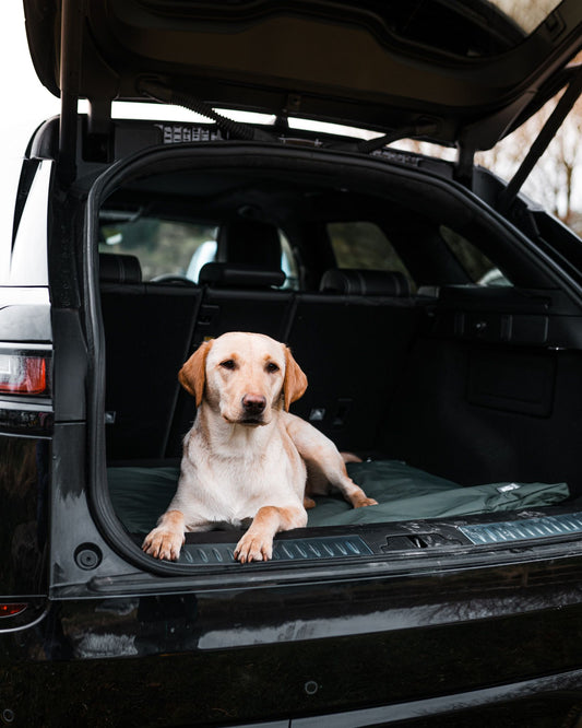 County Waterproof Standard Duvet Boot Bed