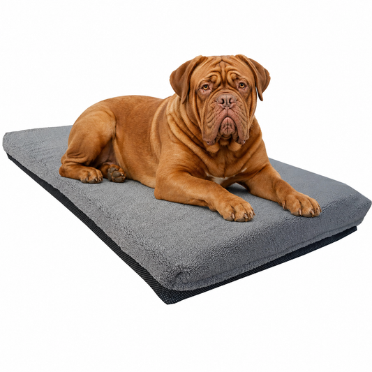 Giant breed dog beds orthopaedic - great for heavy dogs like dogue de bordeaux, St bernards, mastiffs 