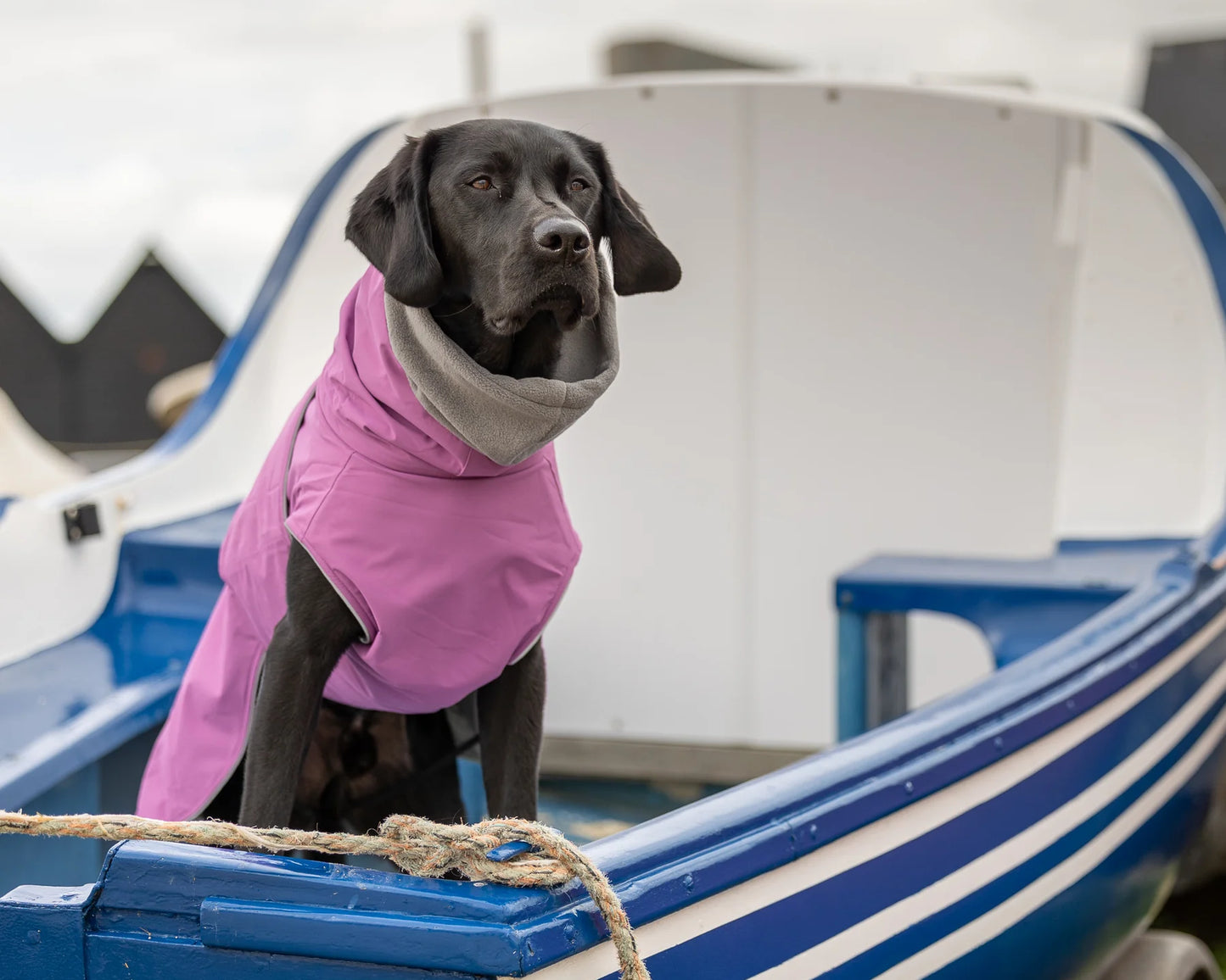 Magenta Waterproof dog coat