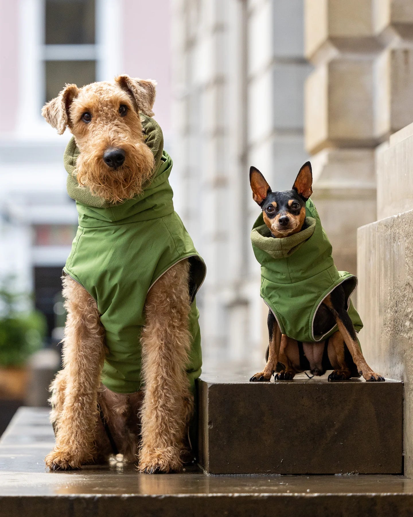 Green Waterproof dog coat