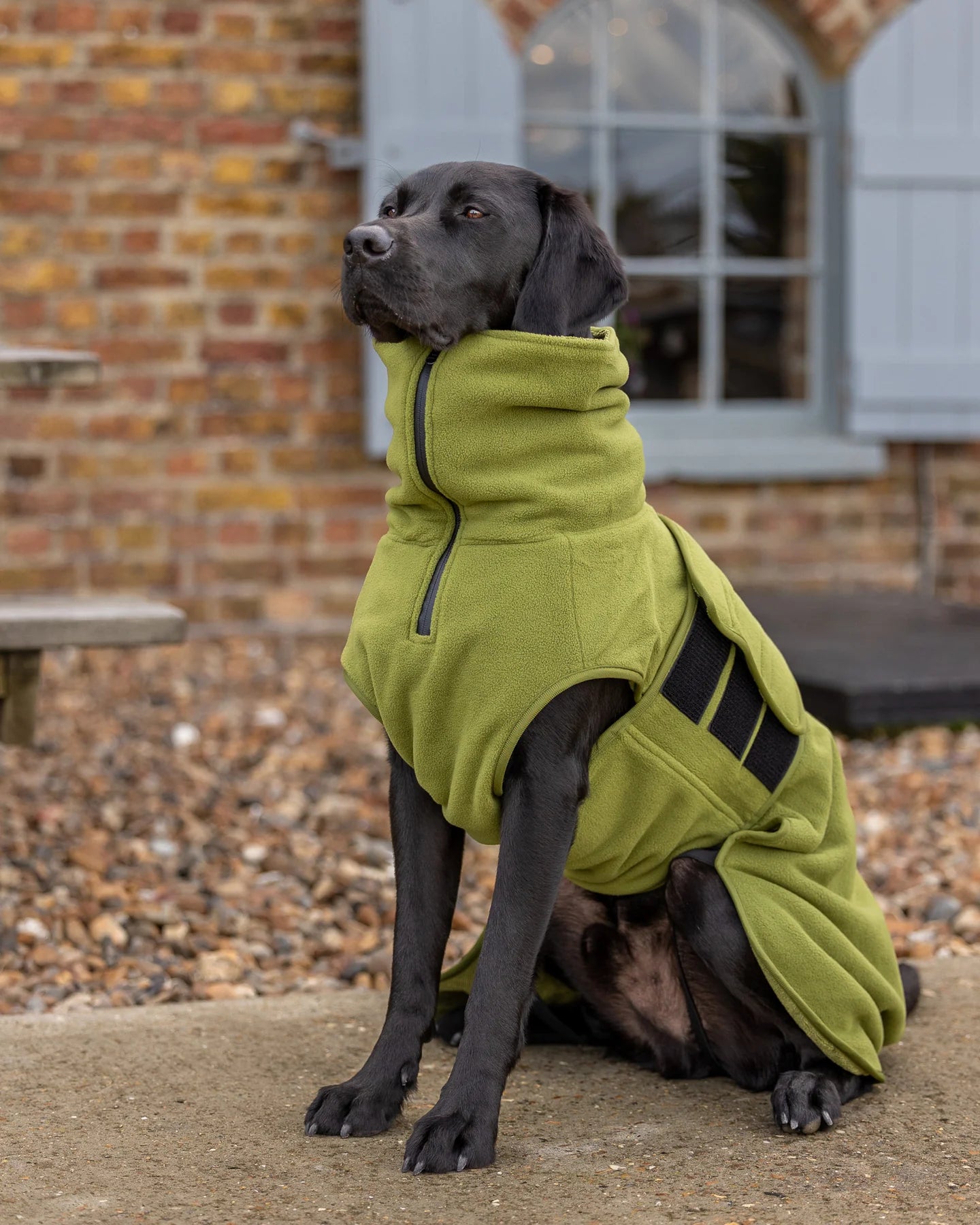 Collared Creatures Superior Dog drying coat green