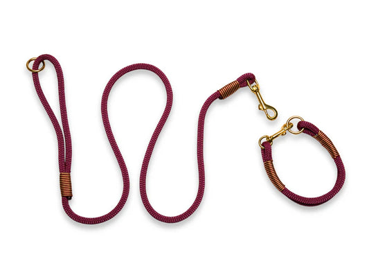 Bordeaux rope collar and lead