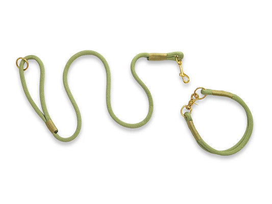 Guacamole rope collar and lead