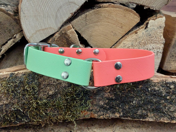 waterproof Dog Collar UK made Multi Coloured  Coral & Apple