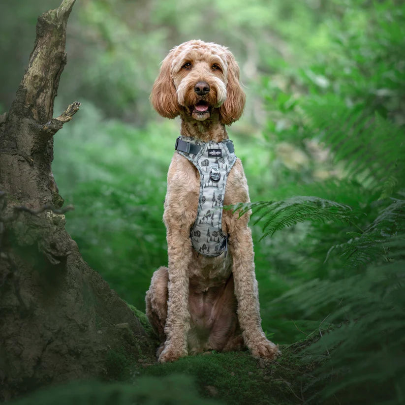 Countryside Hills Dog Harness 