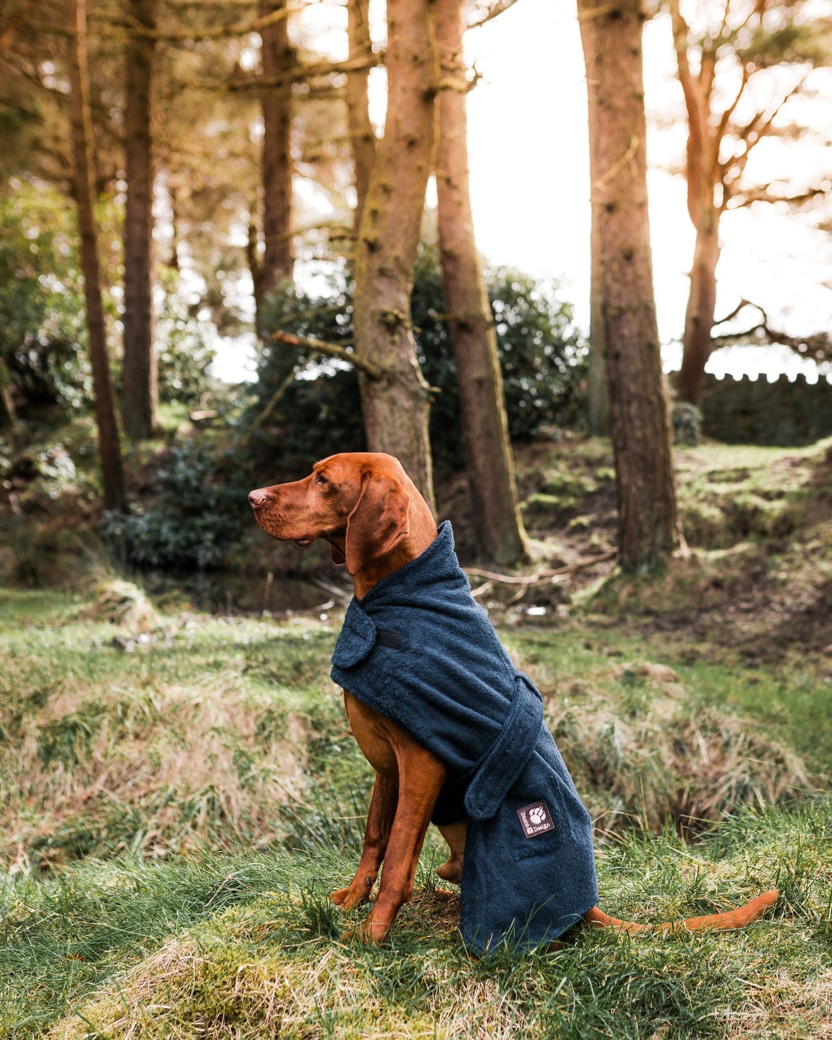 Dog Dressing gown