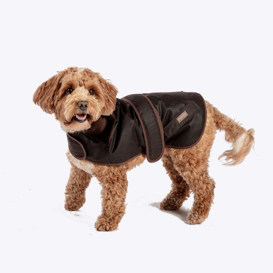 Waxed Jacket  dog Coat