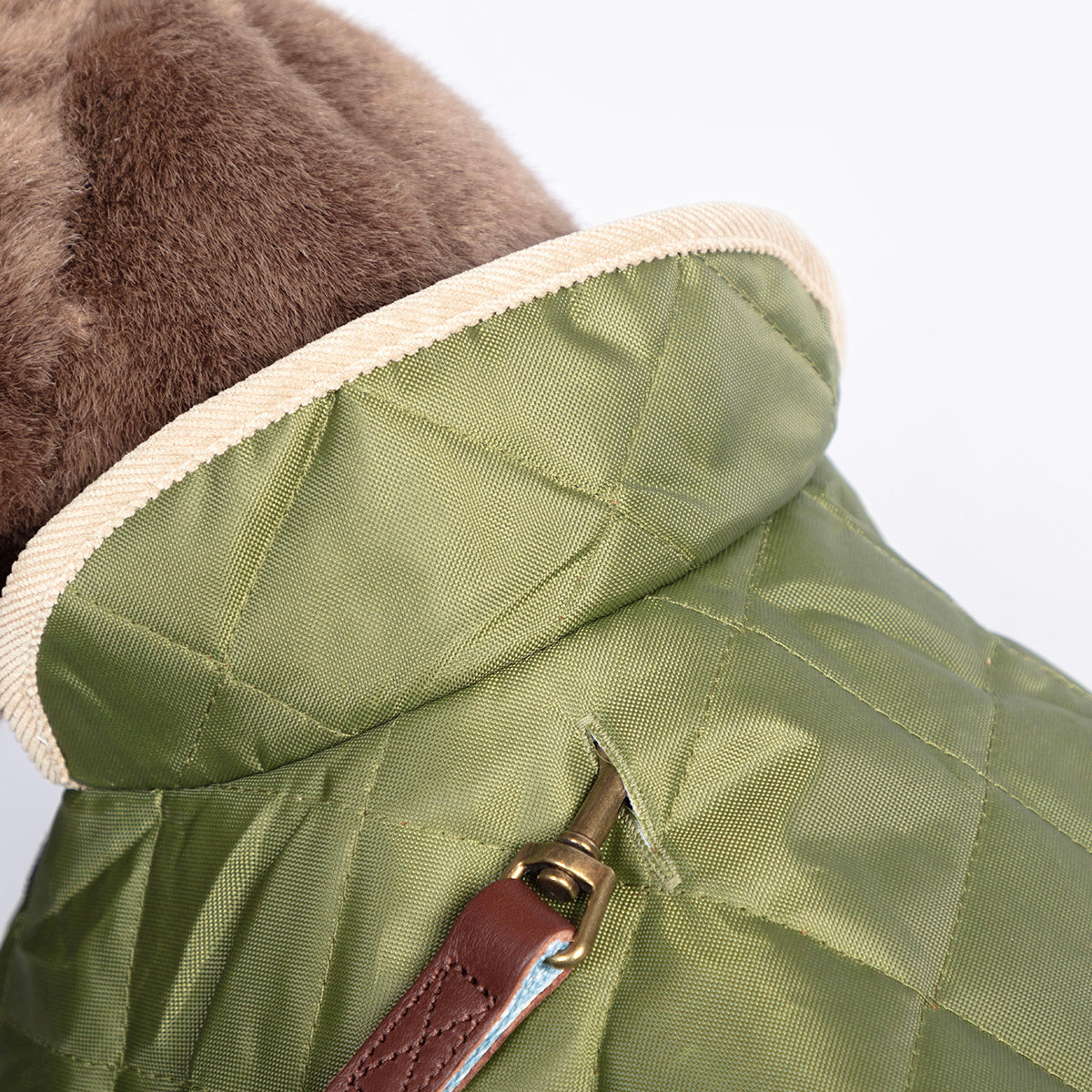 Country style green dog coat