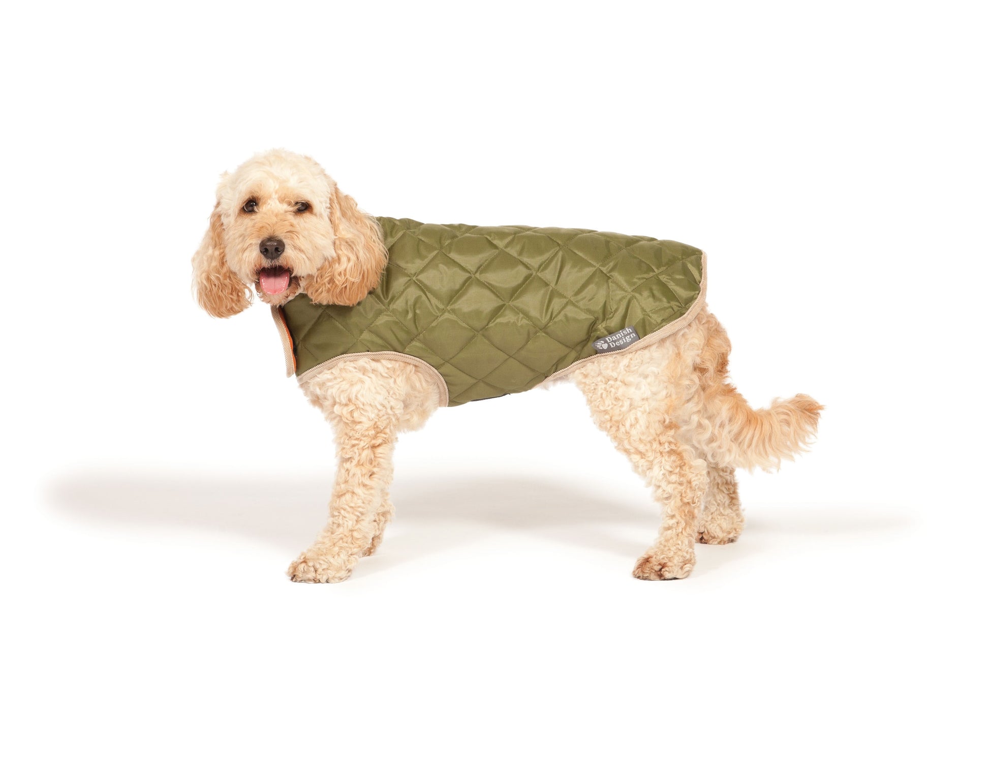 Green Quilted dog coat country style