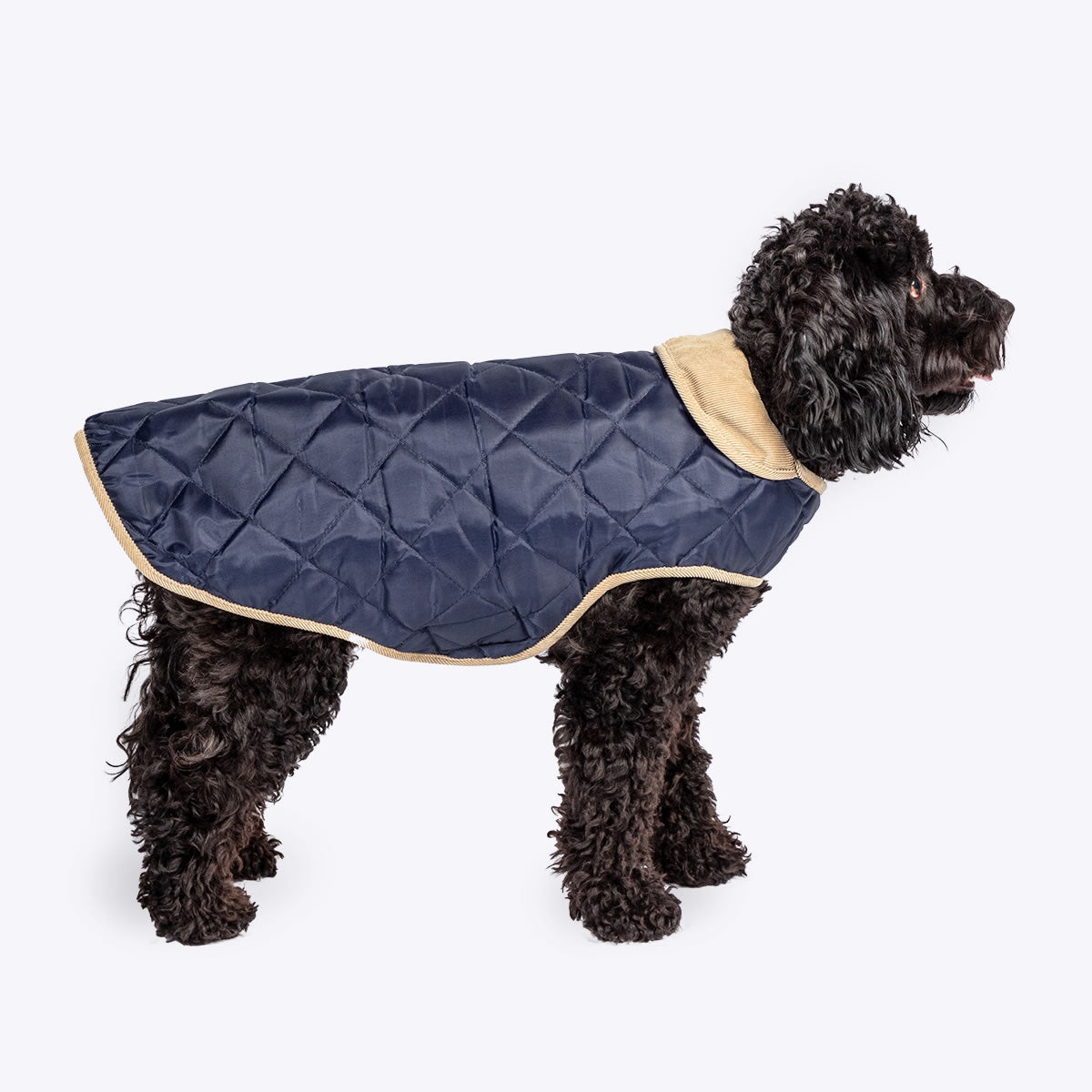 Country Style quilted dog coat blue