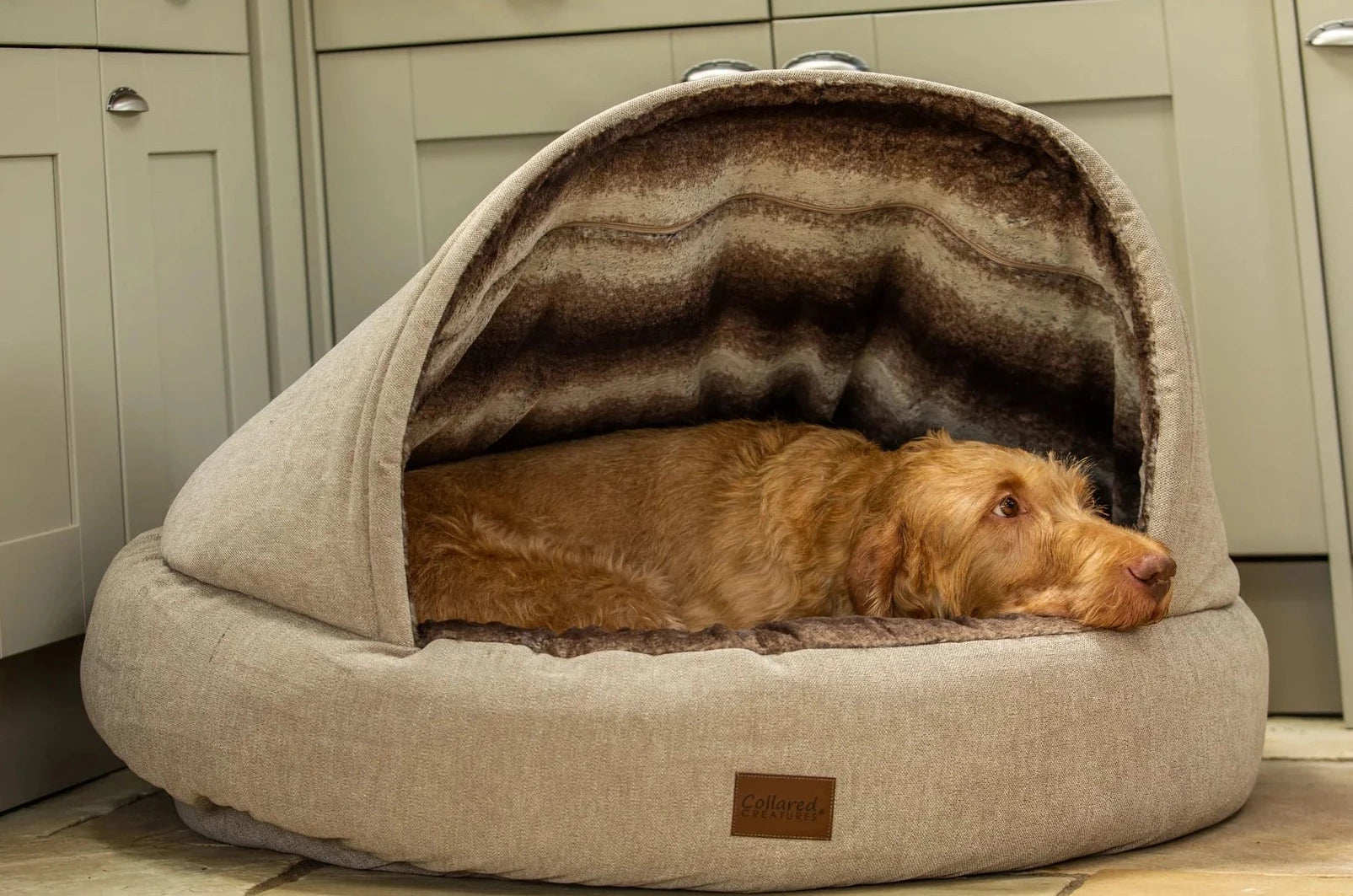 Collared creatures deluxe cocoon cave dog bed beige