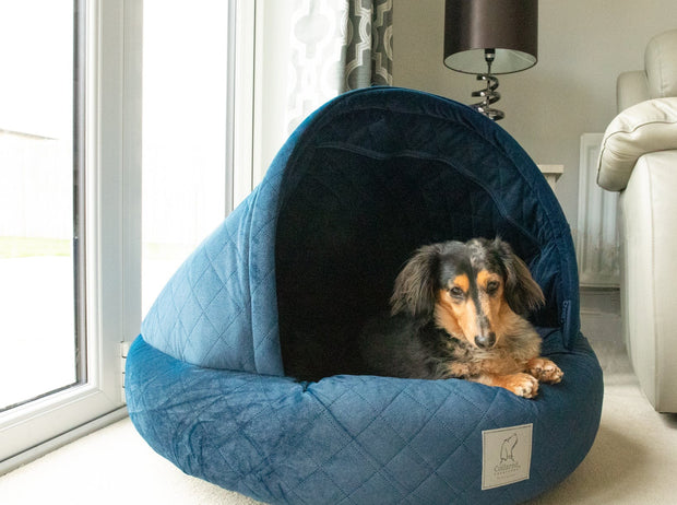 Collared creatures deluxe quilted velour cocoon cave bed without curtains sapphire blue