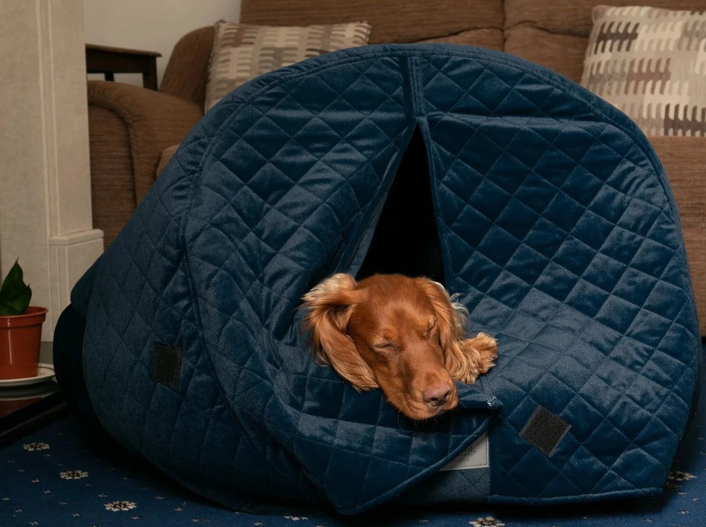 Collared creatures deluxe quilted velour cocoon cave bed with curtains sapphire blue