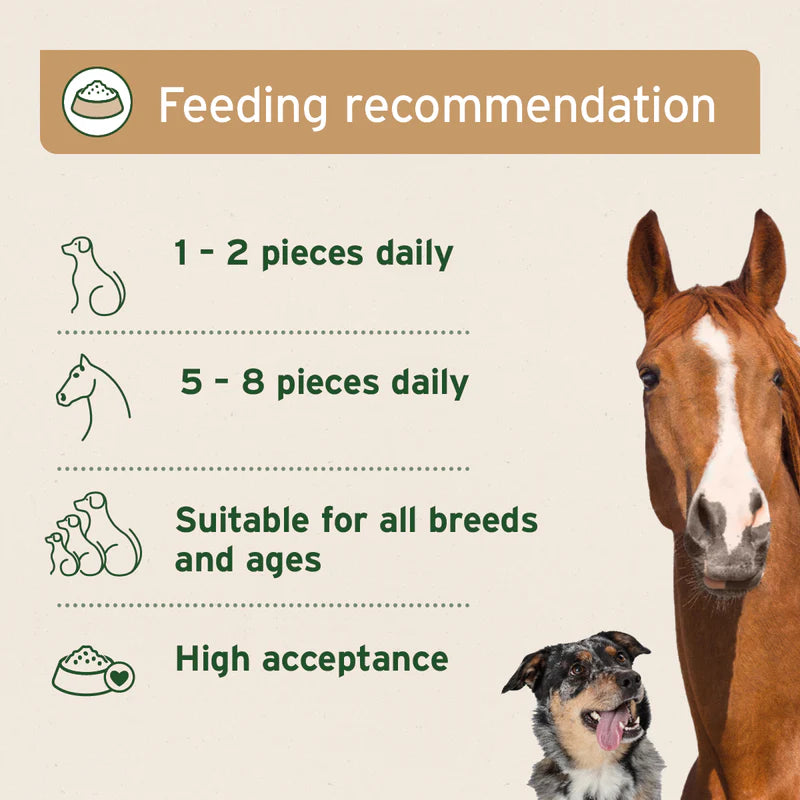 Organic Coconut Sticks Feeding recommendation chart for Dogs, Cats & Horses