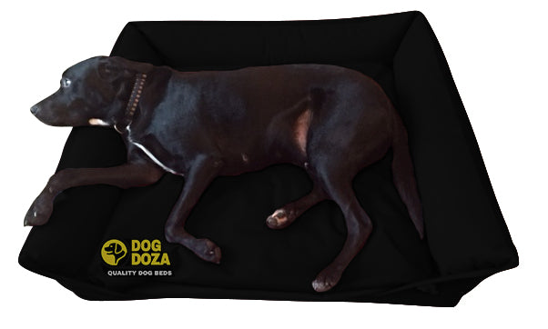 dog doza Sofa bed waterproof dog bed