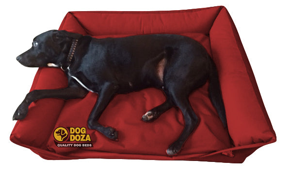 Luxury dog doza Sofa bed waterproof 