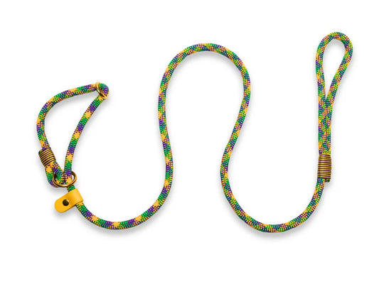 Donatello rope slip lead