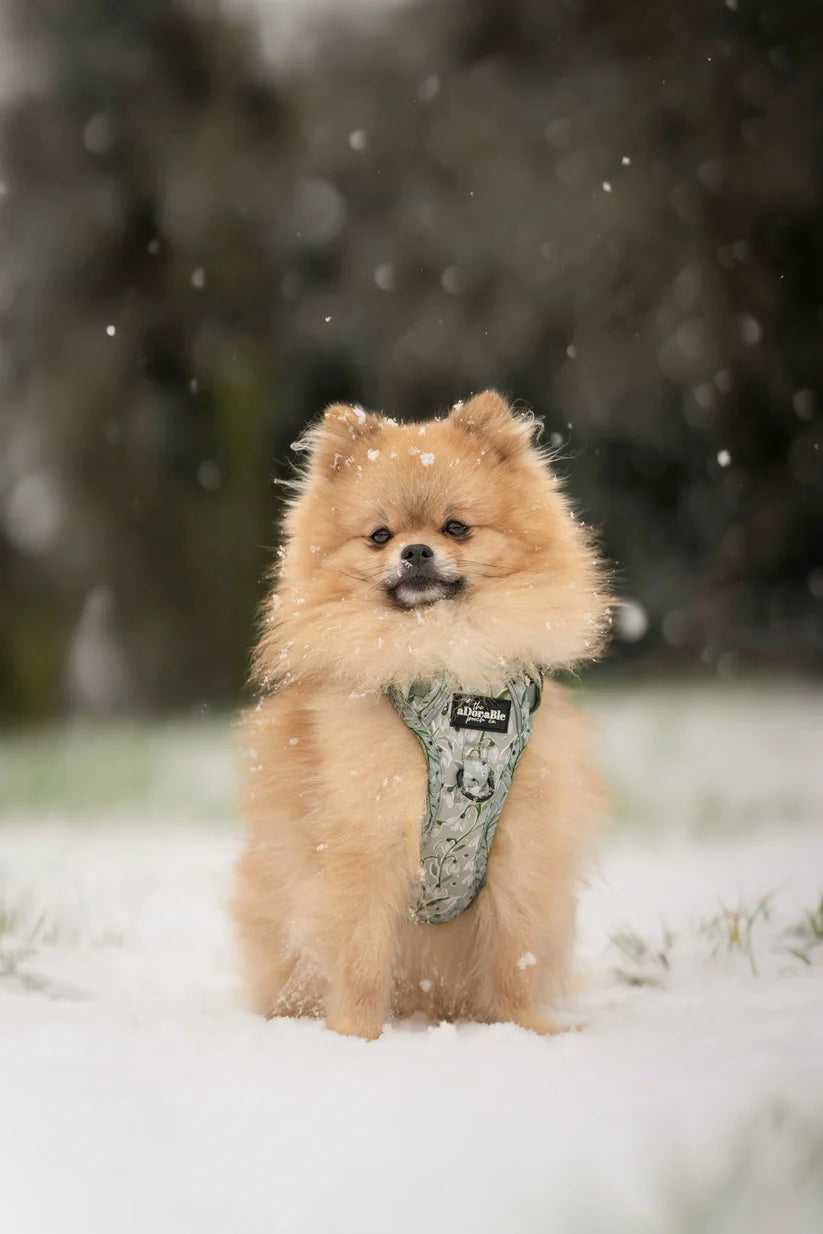 Mint Green Snowdrops Patterned Dog Harness  