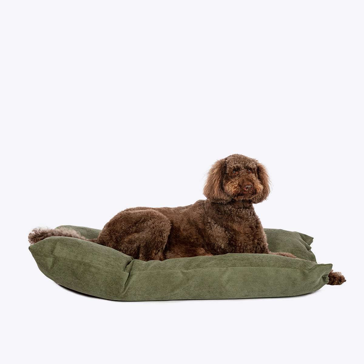 Fern Elden Deep Duvet Dog Bed | Luxury Washable Cord Dog Bed
