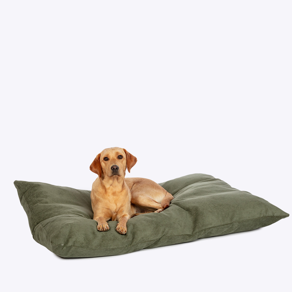 Elden Deep Duvet Dog Bed Fern Green
