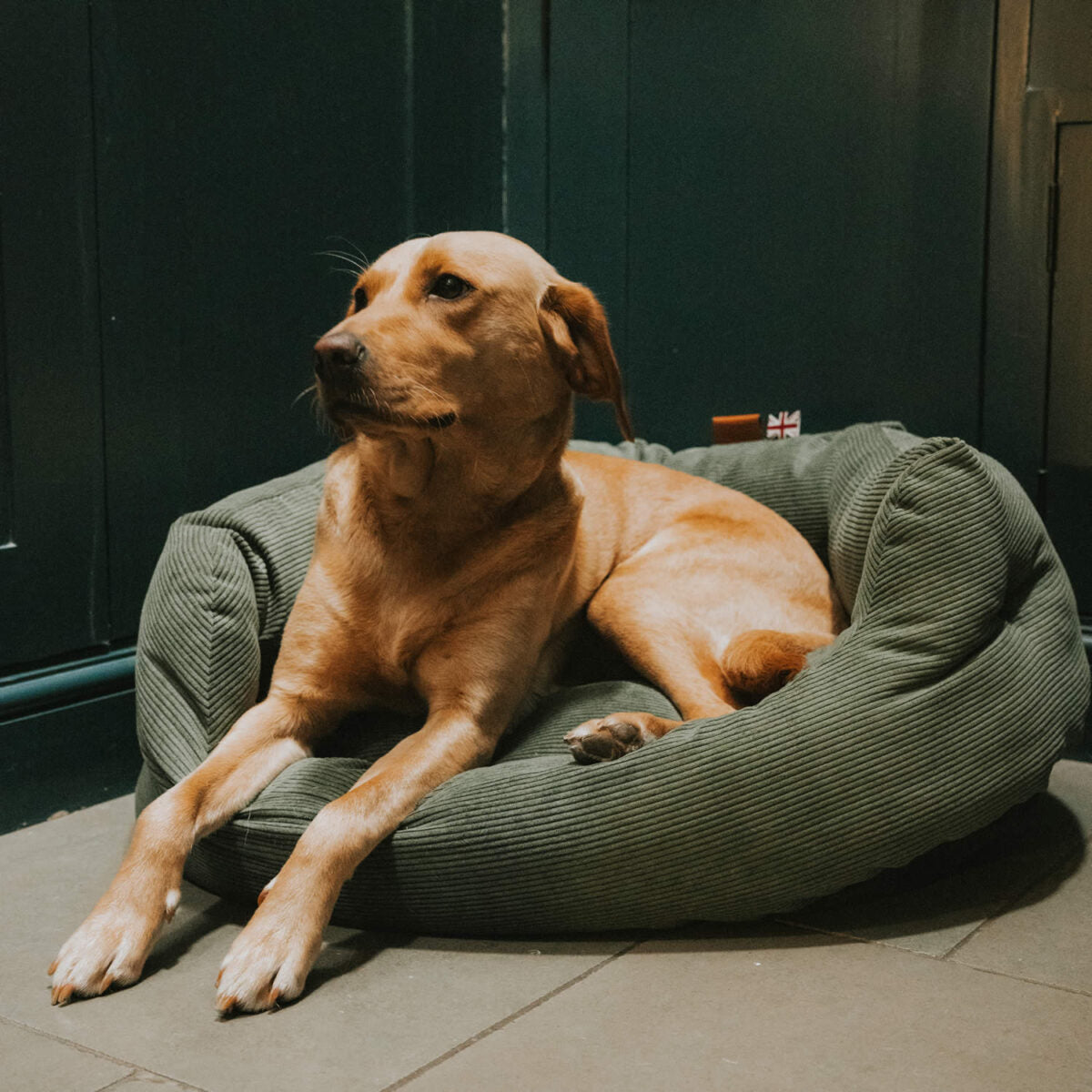 Fern Elden Deluxe Slumber Dog Bed